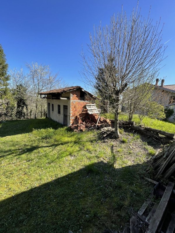 pentavano in vendita a Plodio