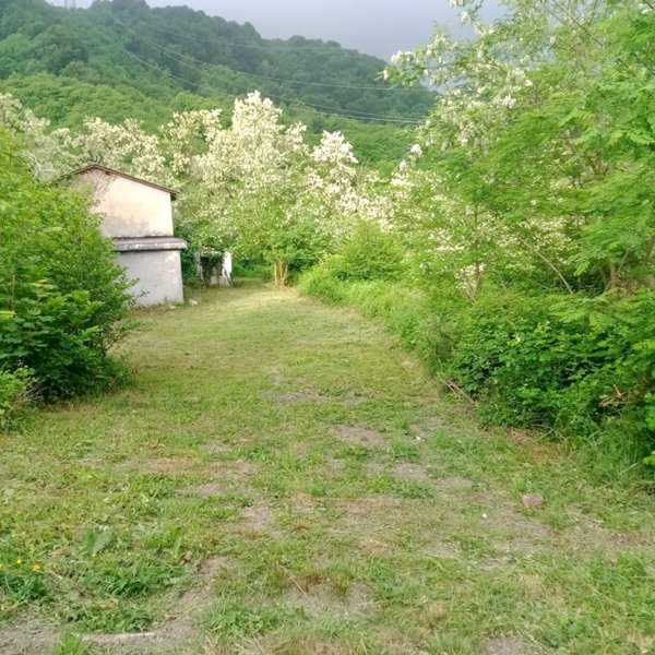 casa indipendente in vendita a Pontinvrea