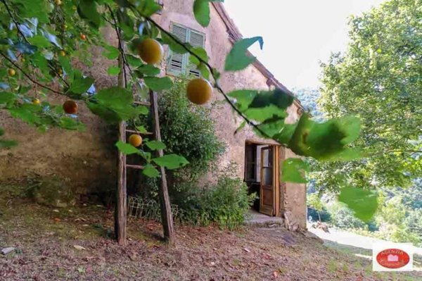 casa semindipendente in vendita a Pontinvrea