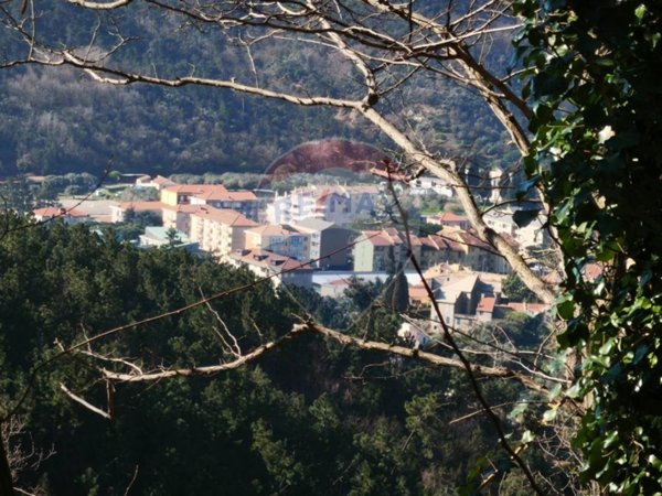 terreno agricolo in vendita a Quiliano