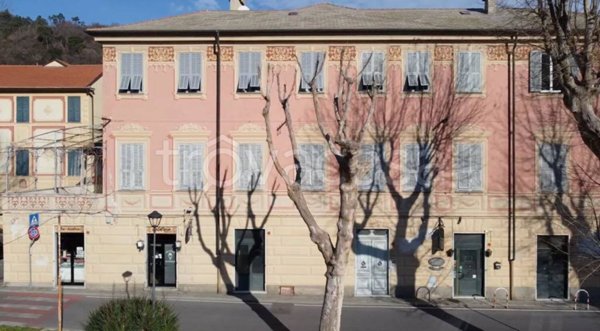 immagine annuncio 0 di 15