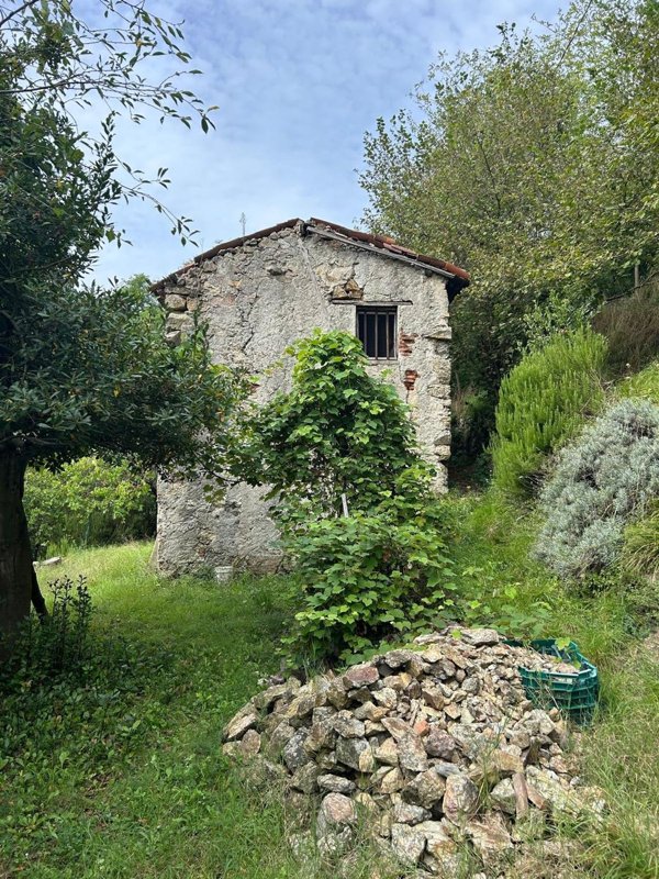 pentavano in vendita a Quiliano in zona Cadibona