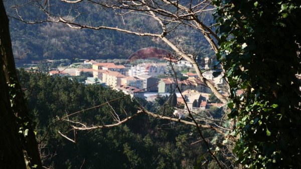 casa indipendente in vendita a Quiliano