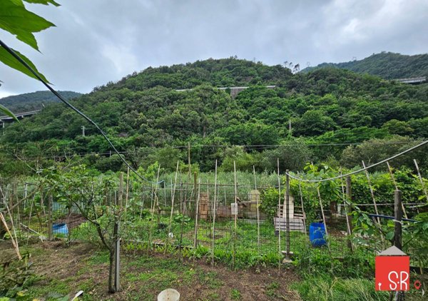 terreno agricolo in vendita a Quiliano