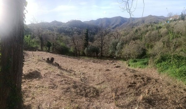 casa indipendente in vendita a Quiliano in zona Cadibona