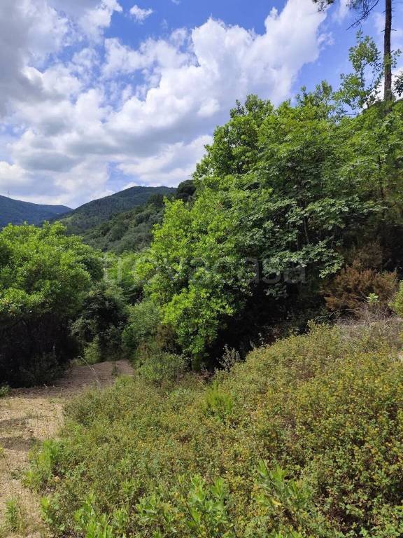 terreno agricolo in vendita a Quiliano