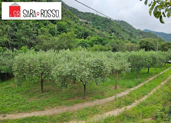 terreno agricolo in vendita a Quiliano