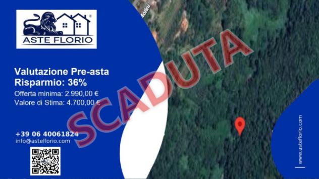 terreno agricolo in vendita a Quiliano
