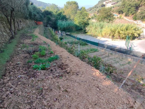 terreno agricolo in vendita a Quiliano