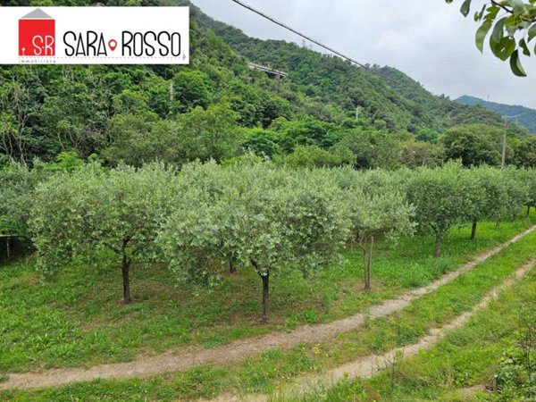 terreno agricolo in vendita a Quiliano in zona Valleggia