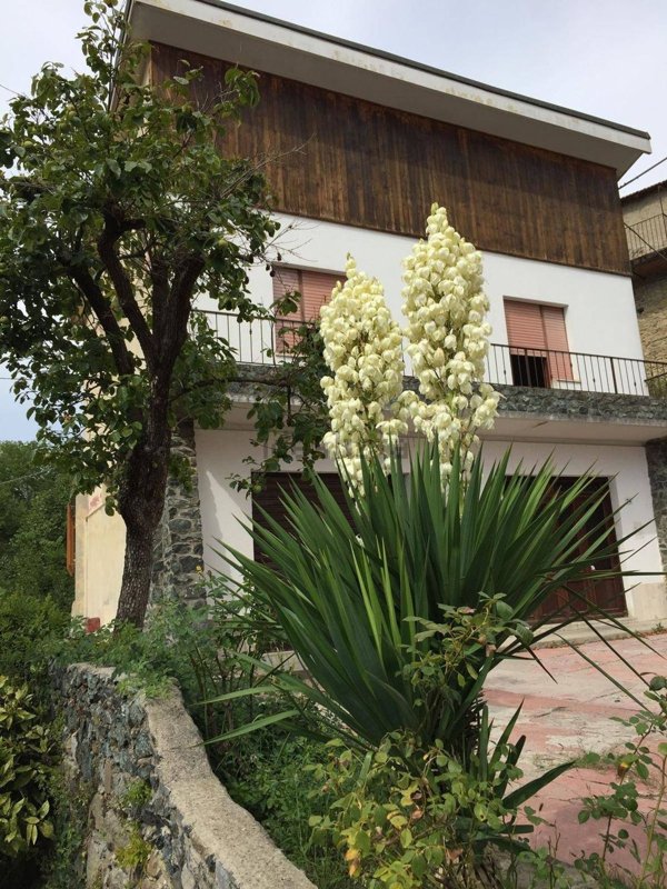 casa indipendente in vendita a Roccavignale in zona Strada