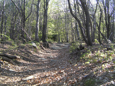 terreno agricolo in vendita a Sassello