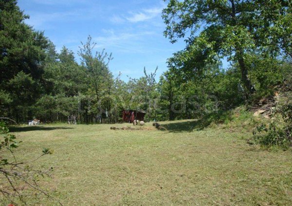 rudere in vendita a Sassello in zona Palo