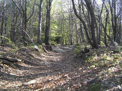 appartamento in vendita a Sassello