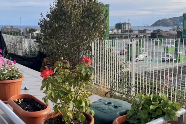 appartamento in vendita a Savona