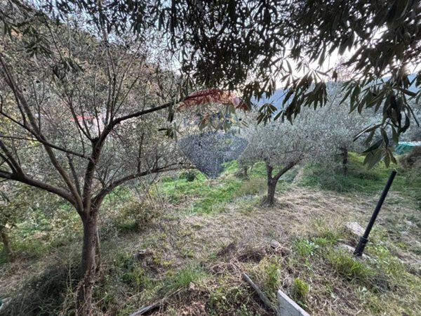 terreno agricolo in vendita a Savona in zona Marmorassi