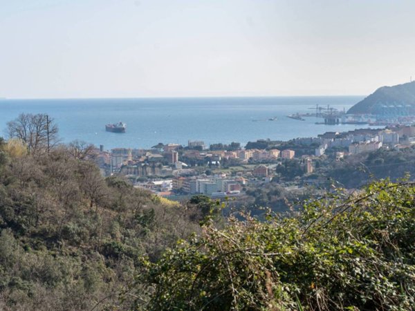 terreno agricolo in vendita a Savona