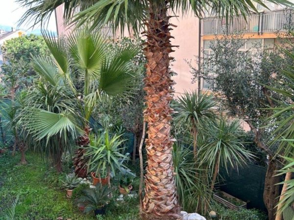 appartamento in vendita a Savona