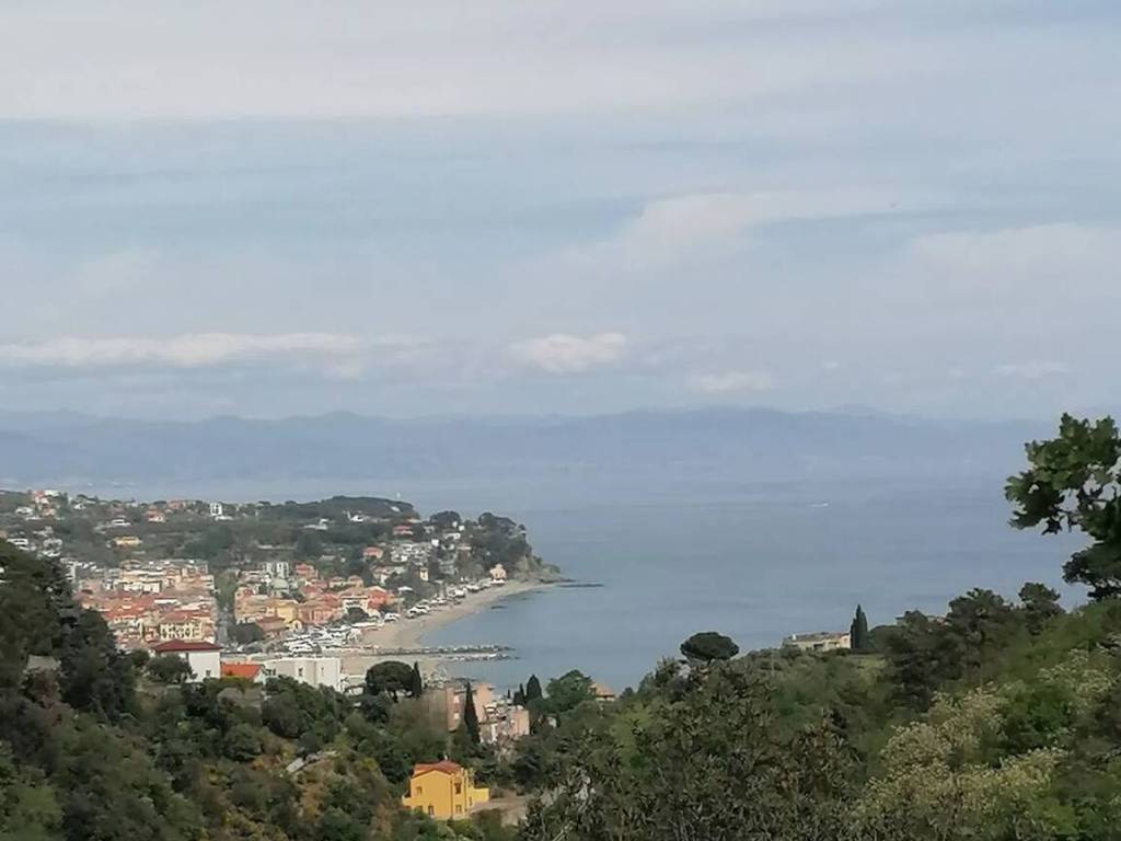 terreno agricolo in vendita a Savona
