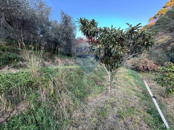 terreno agricolo in vendita a Savona in zona Marmorassi