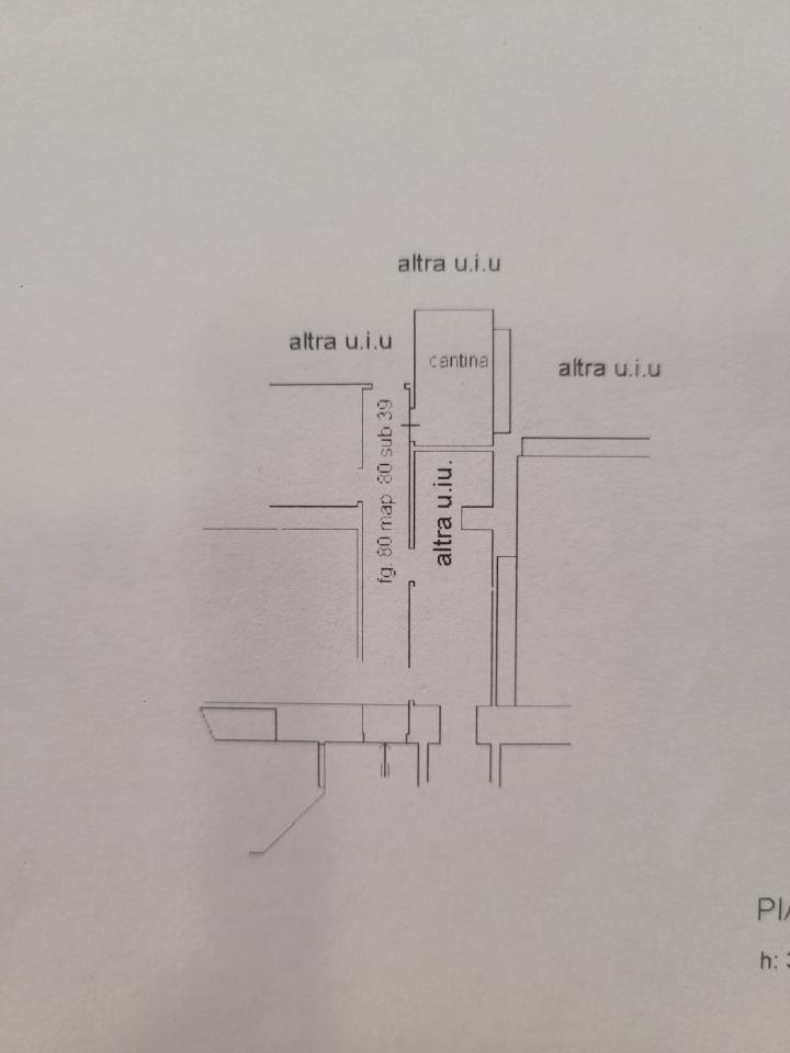 negozio in vendita a Savona