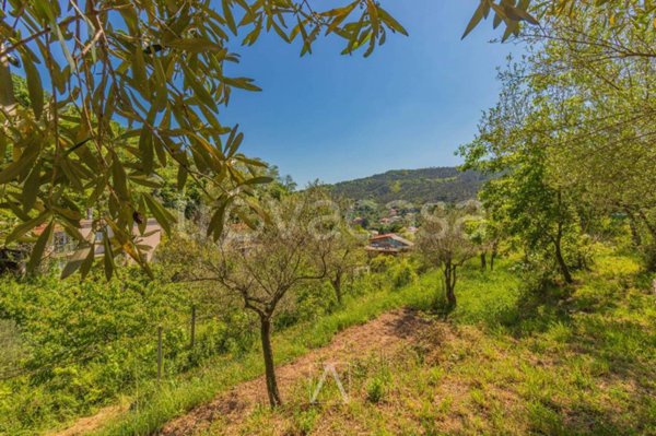 terreno agricolo in vendita a Savona in zona Cimavalle / Botta
