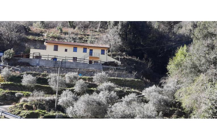 casa indipendente in vendita a Savona