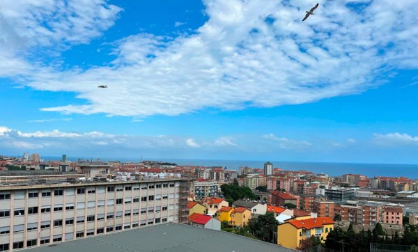appartamento in vendita a Savona