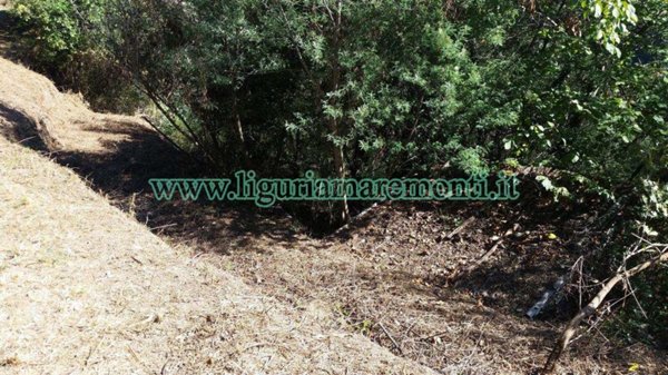 terreno agricolo in vendita a Savona in zona Santuario