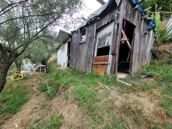 terreno agricolo in vendita a Savona
