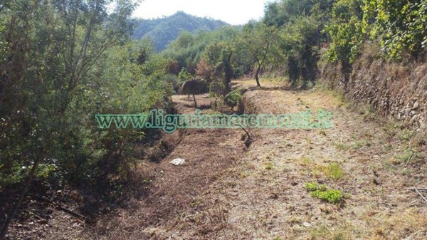terreno agricolo in vendita a Savona in zona Santuario