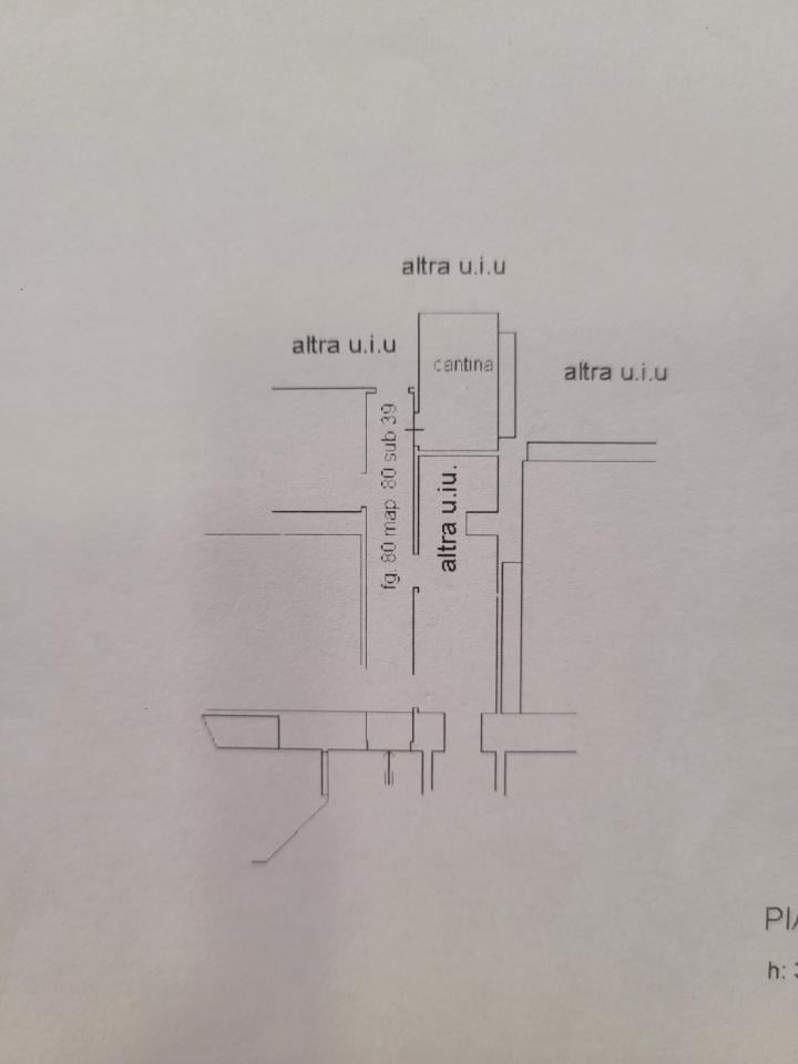negozio in vendita a Savona