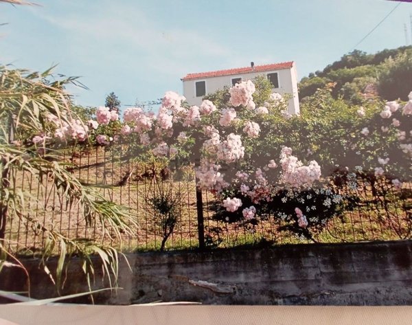 casa indipendente in vendita a Savona
