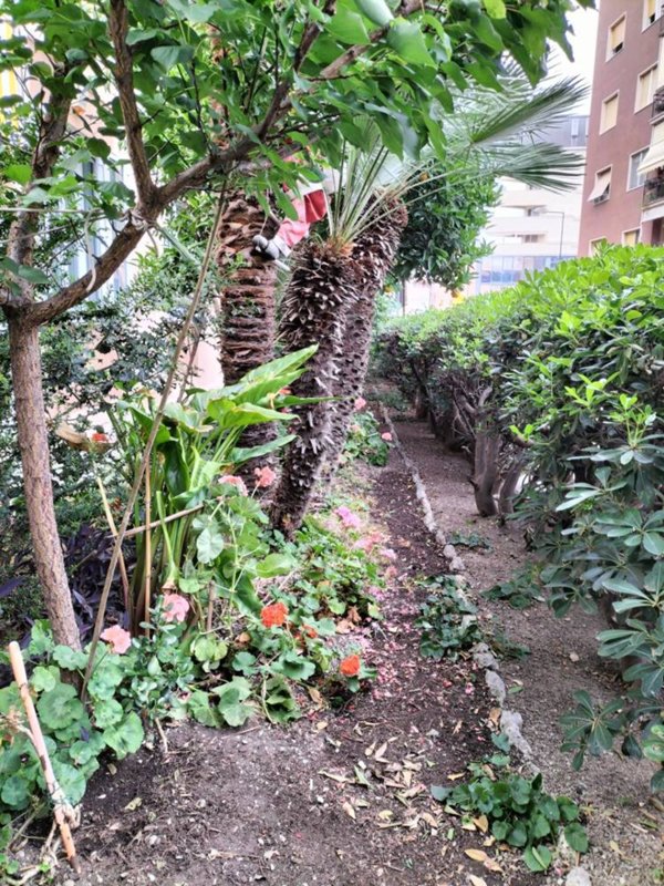 appartamento in vendita a Savona