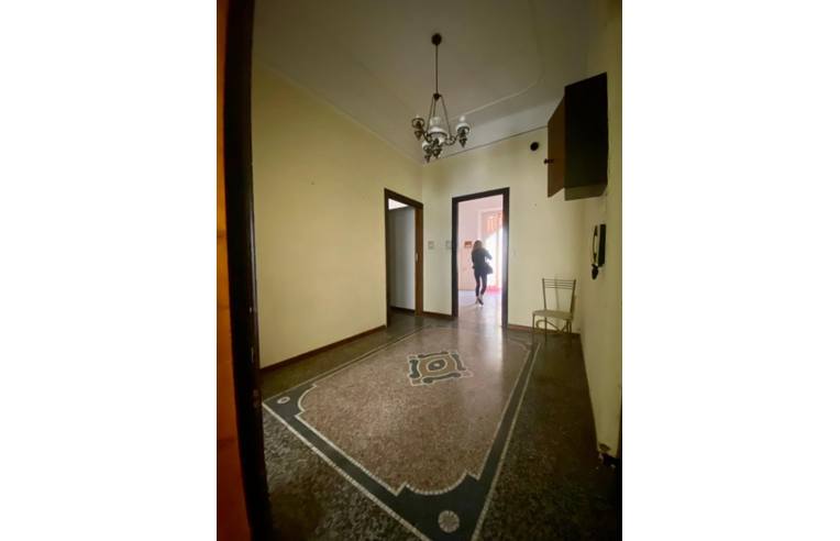 immagine annuncio 0 di 3