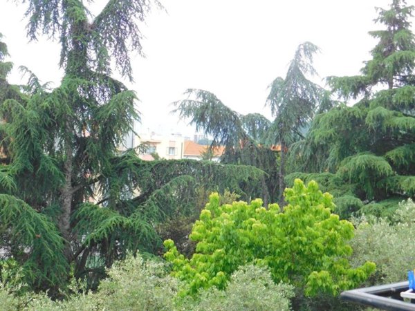 appartamento in vendita a Savona