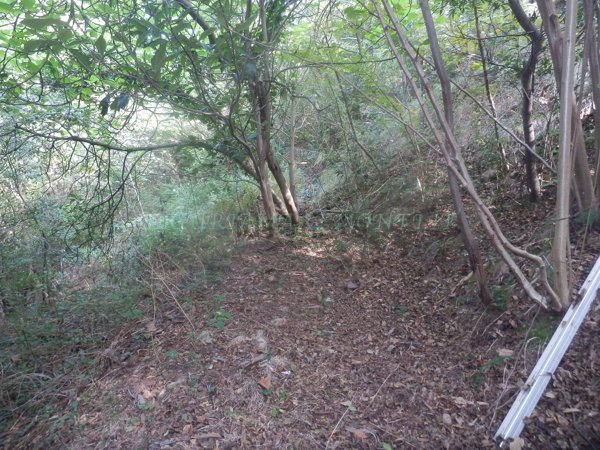 terreno agricolo in vendita a Savona in zona Santuario