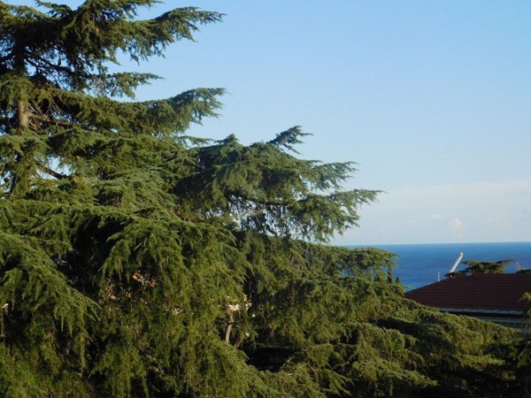 appartamento in vendita a Savona