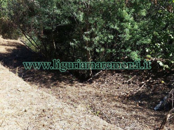 terreno agricolo in vendita a Savona in zona Santuario