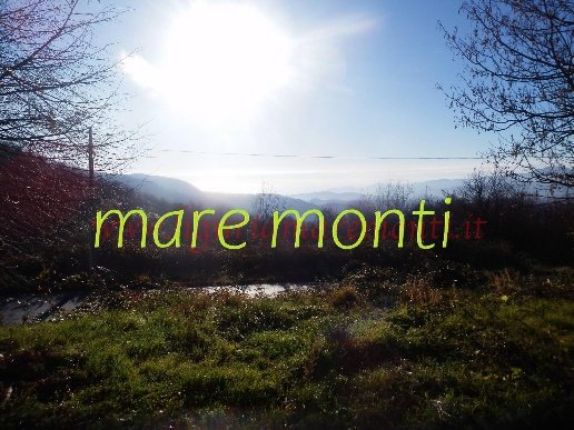 casa indipendente in vendita a Savona in zona Centro Storico