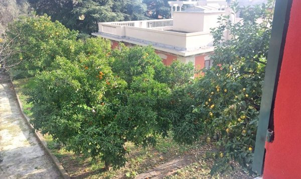 appartamento in vendita a Savona