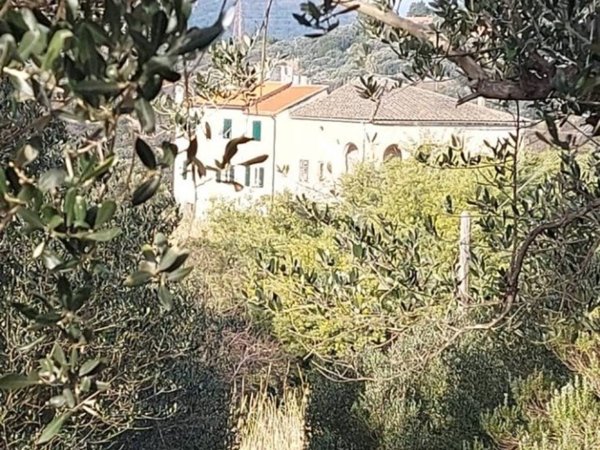 casa indipendente in vendita a Savona