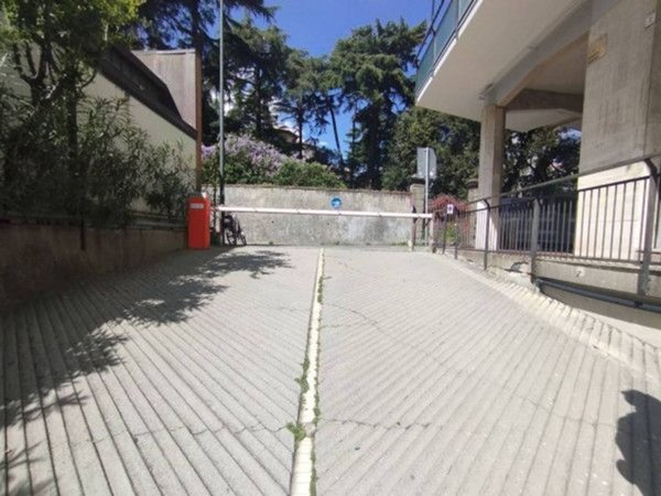 negozio in vendita a Savona