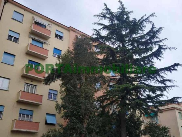 appartamento in vendita a Savona