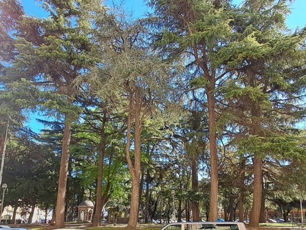 appartamento in vendita a Savona in zona Centro Storico