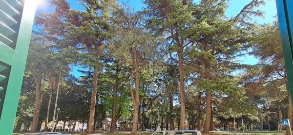 appartamento in vendita a Savona