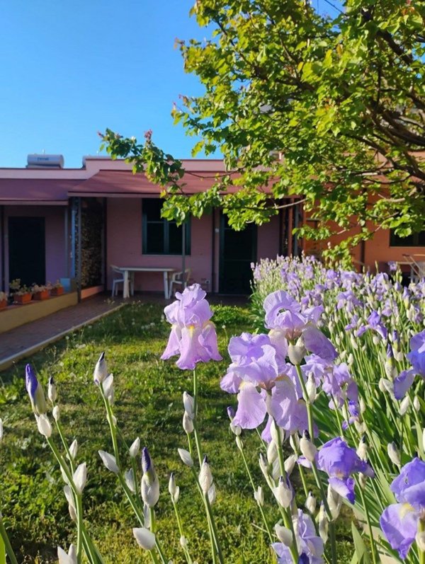 casa indipendente in vendita a Savona