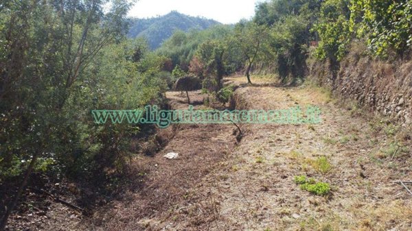 terreno agricolo in vendita a Savona in zona Santuario