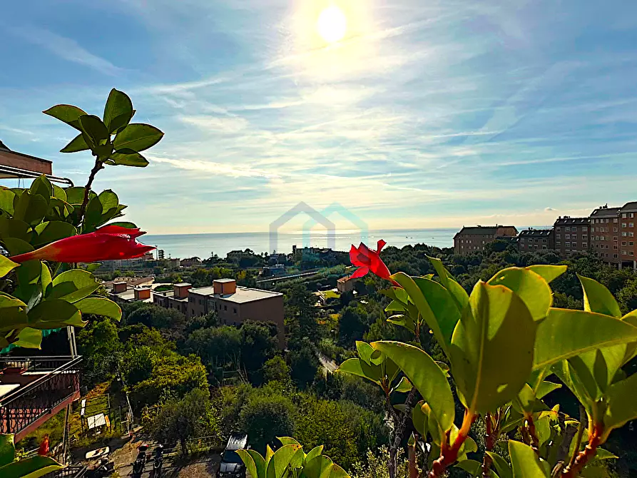 appartamento in vendita a Savona in zona Madonna del Monte
