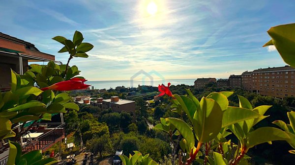 appartamento in vendita a Savona in zona Madonna del Monte